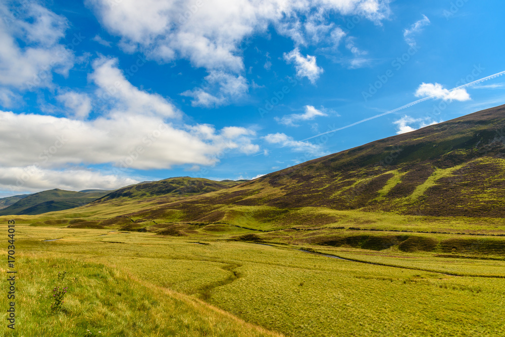 Scottish countryside in summer