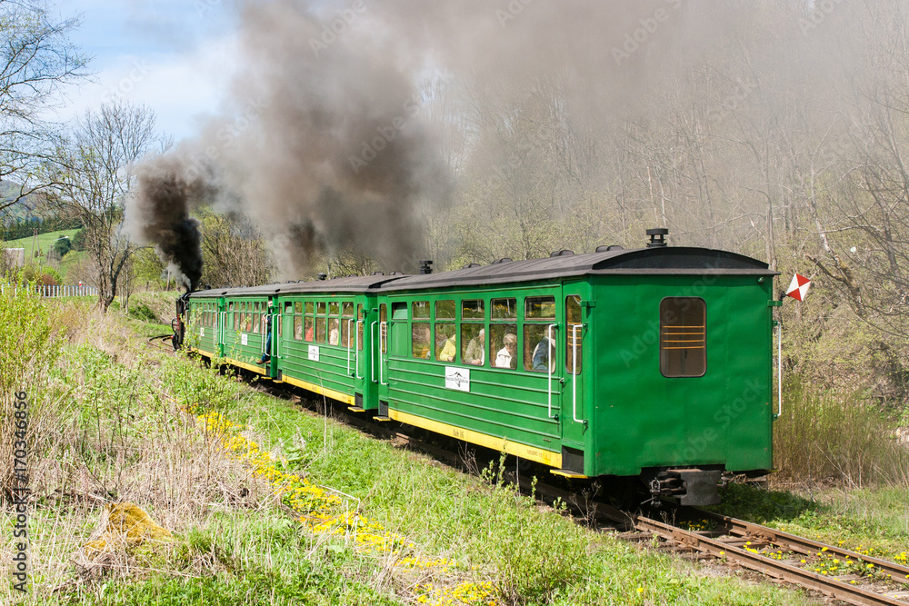 Obraz premium Bieszczadzka kolej wąskotorowa
