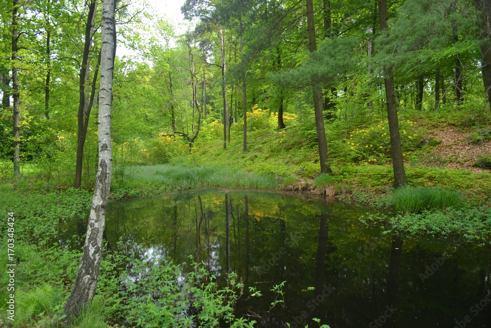 wald1 wald1