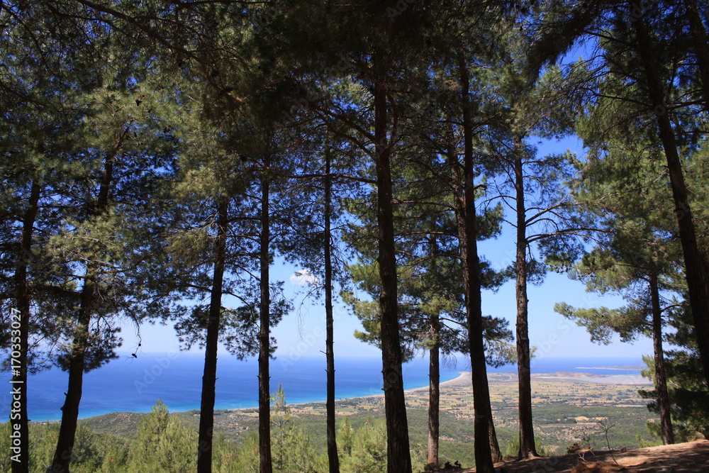 Obraz premium Ein Ausblick zwei Landschaften