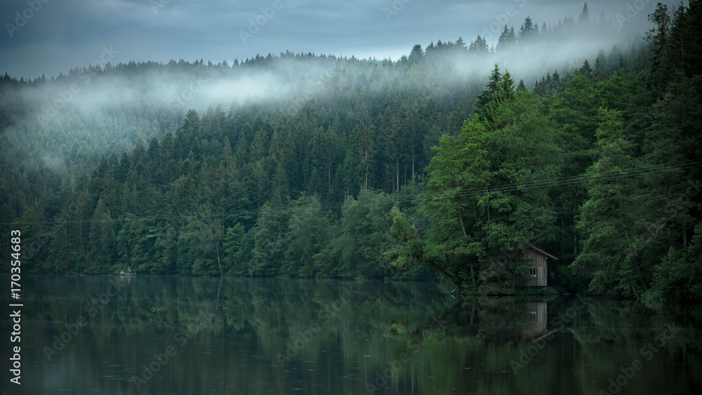 See im Nebel See im Nebel