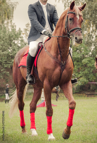 Horse and jockey © Emoji Smileys People