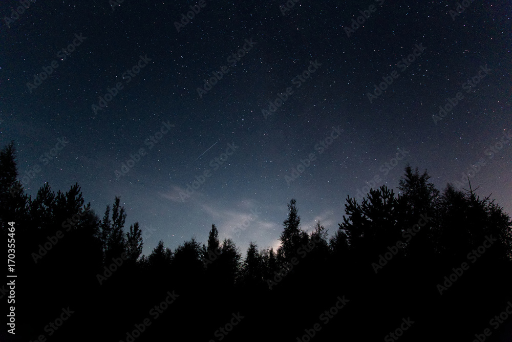 Night sky stars behind forests trees
