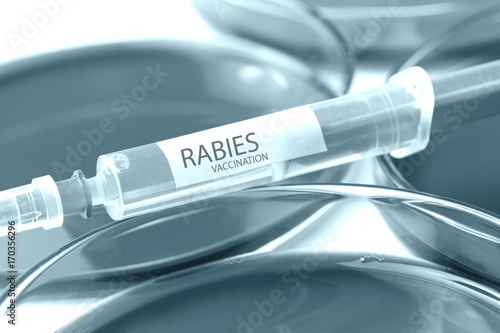 rabies vaccination blue colored theme photo