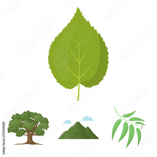 Mountain, cloud, tree, branch, leaf.Forest set collection icons in cartoon style vector symbol stock illustration web.