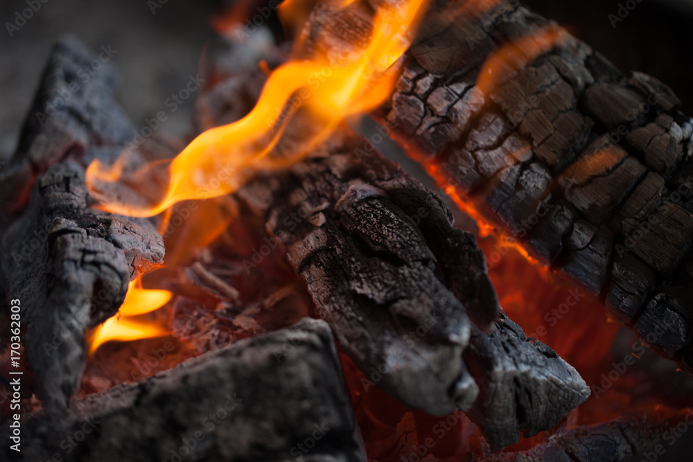 Bonfire. Fire wood. Grilling and cooking fire. Woodfire with flames. Bonfire. Fire wood. Grilling and cooking fire. Woodfire with flames.