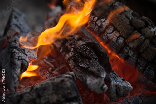 Bonfire. Fire wood. Grilling and cooking fire. Woodfire with flames. 