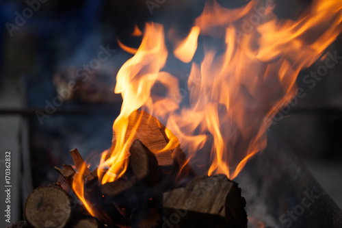 Bonfire. Fire wood. Grilling and cooking fire. Woodfire with flames. 