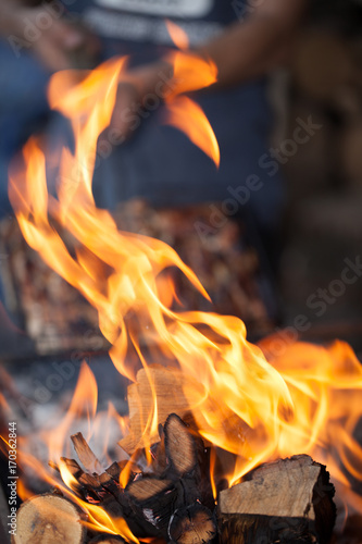 Bonfire. Fire wood. Grilling and cooking fire. Woodfire with flames. 