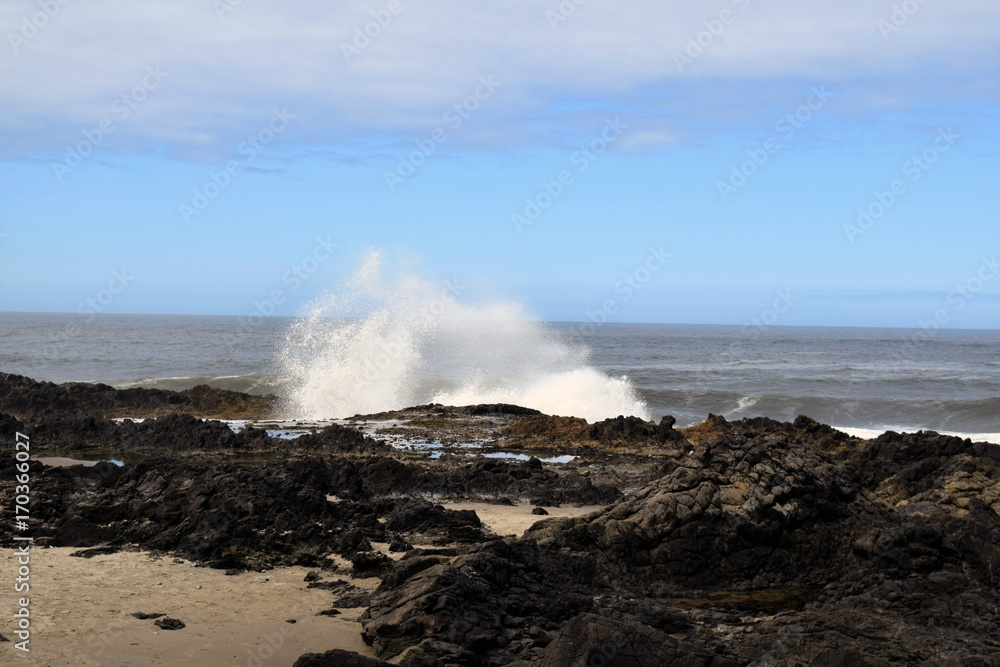 Oregon Coast Waves Splash