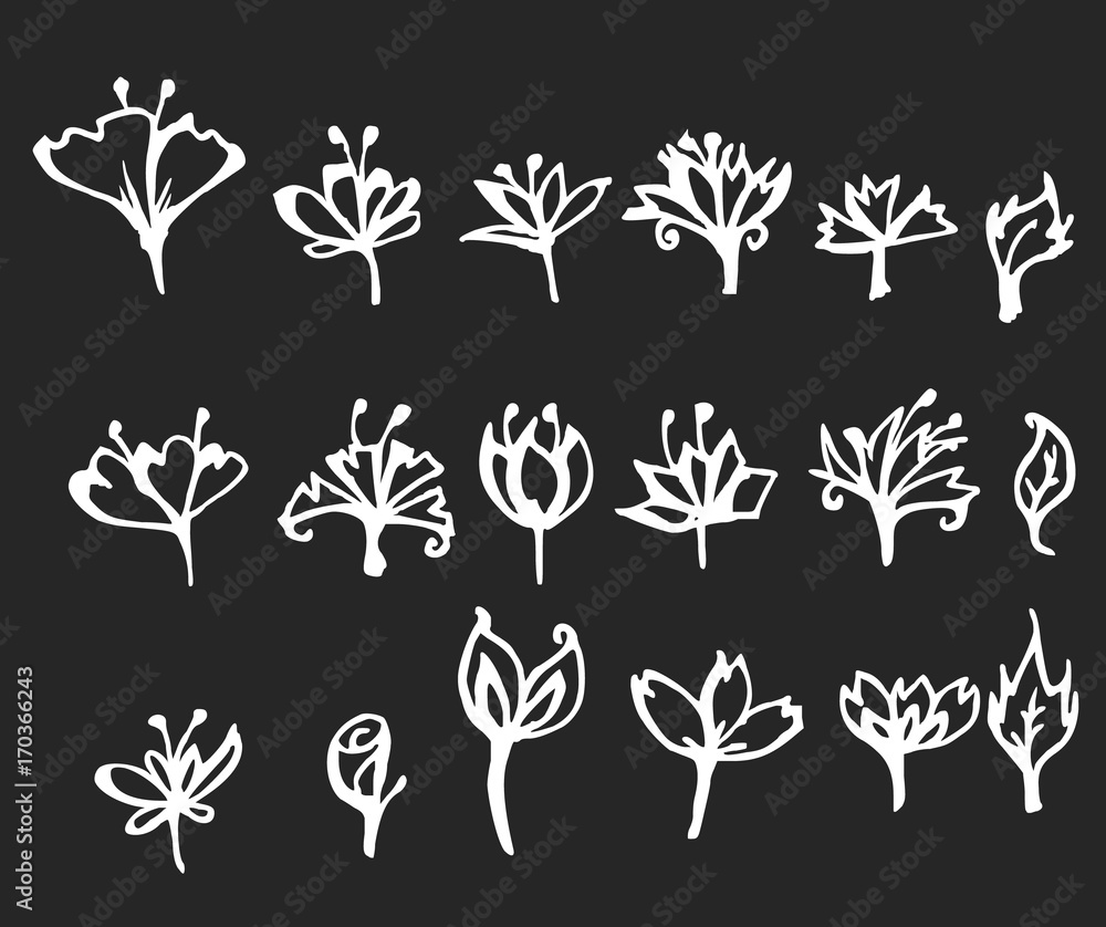 Set of flower doodles vector line on chalkboard eps10