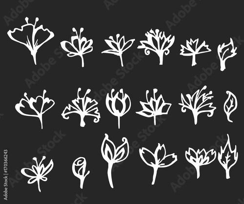Fototapeta Naklejka Na Ścianę i Meble -  Set of flower doodles vector line on chalkboard eps10