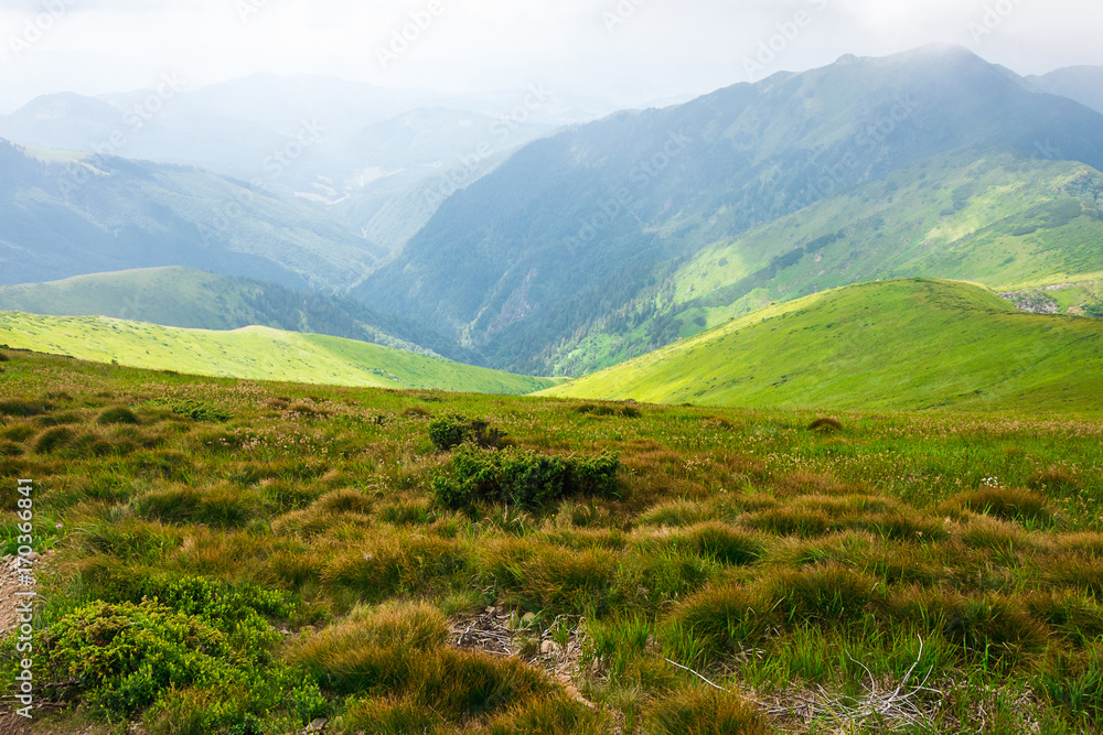 Travel, trekking, nature. Majestic, high green mountains. Horizontal frame