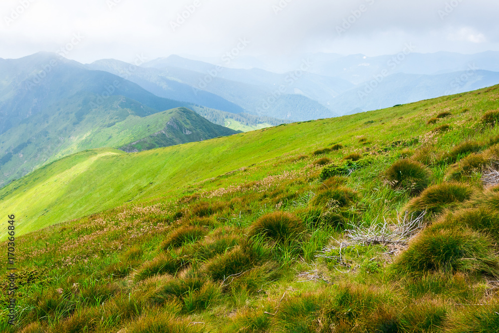 Travel, trekking, nature. Majestic, high green mountains. Horizontal frame Travel, trekking, nature. Majestic, high green mountains. Horizontal frame