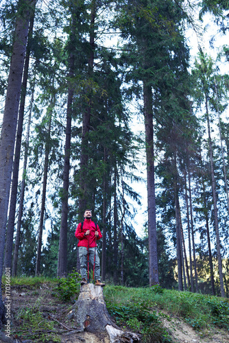 Thoughtful man standing on stump, holding hiking poles