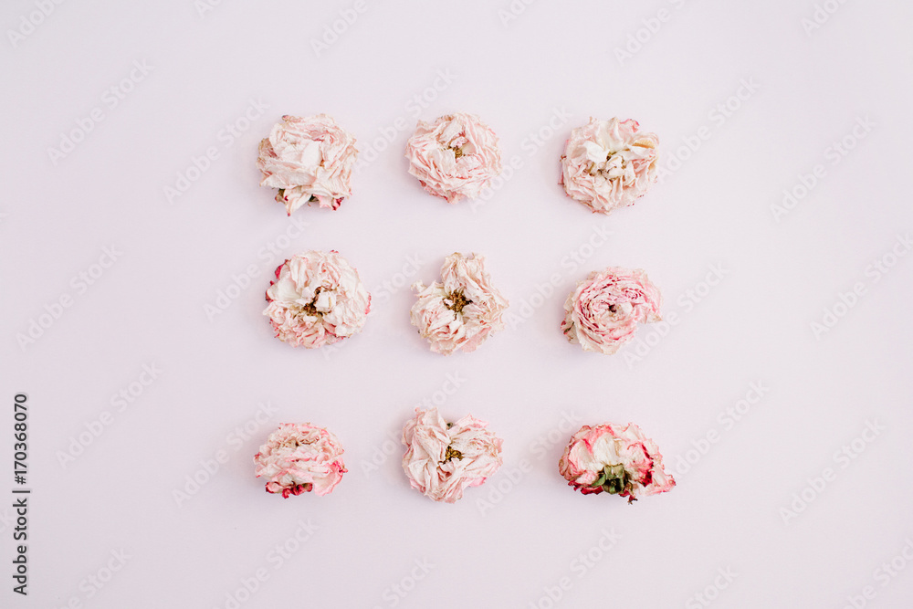 Pink dry rose buds on pink background. Flat lay, top view. Flowers background. Pink dry rose buds on pink background. Flat lay, top view. Flowers background.