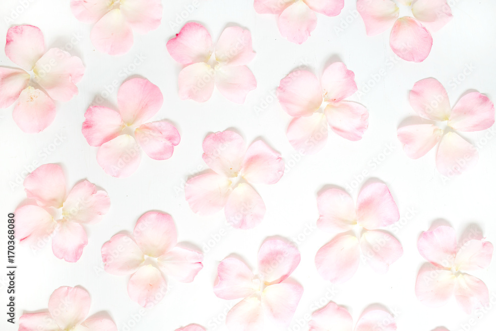 Pink rose petals pattern on white background. Flat lay, top view. Valentine's background. Pattern of flowers.