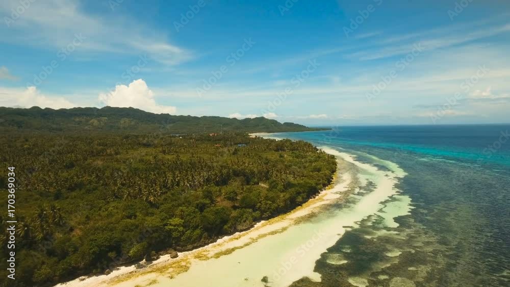 Aerial view of tropical beach on the island Bohol, Anda area, Philippines. Beautiful tropical island with sand beach, palm trees. Tropical landscape: beach with palm trees. Seascape: Ocean, sky, sea Aerial view of tropical beach on the island Bohol, Anda area, Philippines. Beautiful tropical island with sand beach, palm trees. Tropical landscape: beach with palm trees. Seascape: Ocean, sky, sea