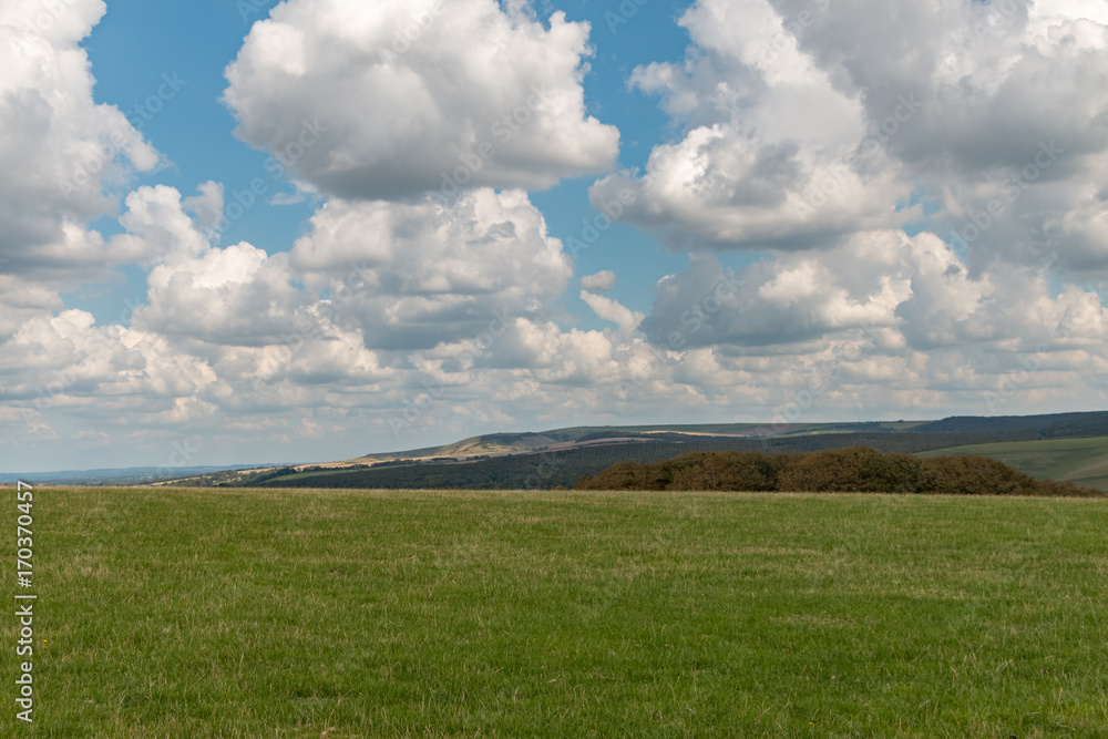 Obraz premium Fields near Seaford