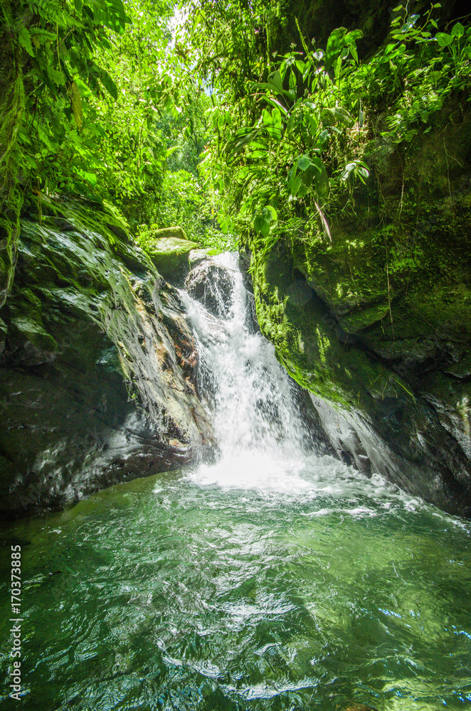 Beautiful waterfall in green forest with stones in river at Mindo