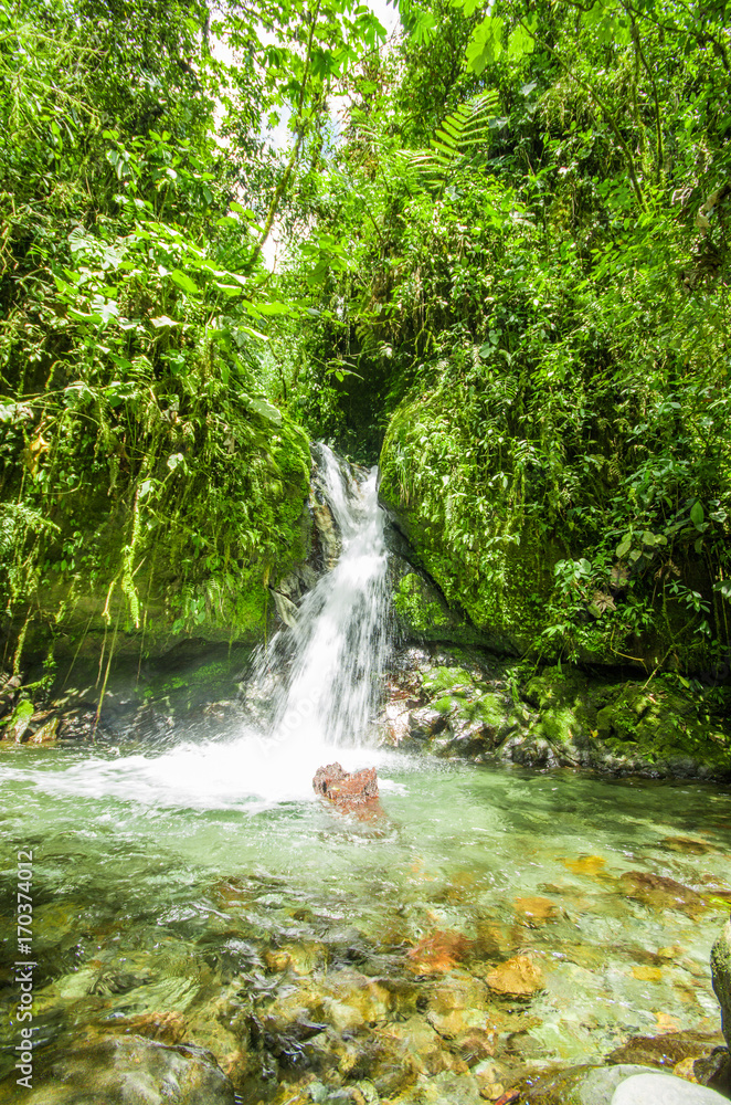 Beautiful small waterfall in green forest with stones in river at Mindo Beautiful small waterfall in green forest with stones in river at Mindo