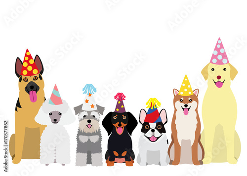 smiling dogs with party hat