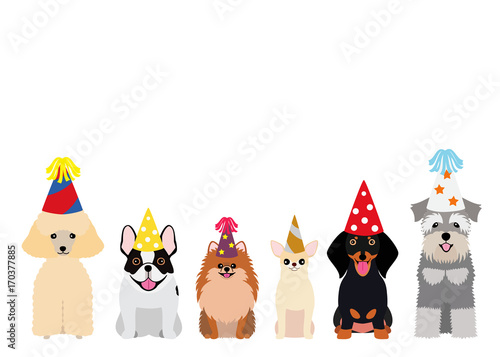 smiling small dogs with party hat
