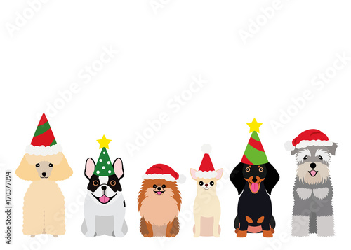 smiling small dogs with Christmas party hat
