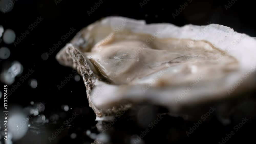 Water droplets on oyster. Shot with high speed camera, phantom flex 4K. Slow Motion. Water droplets on oyster. Shot with high speed camera, phantom flex 4K. Slow Motion.