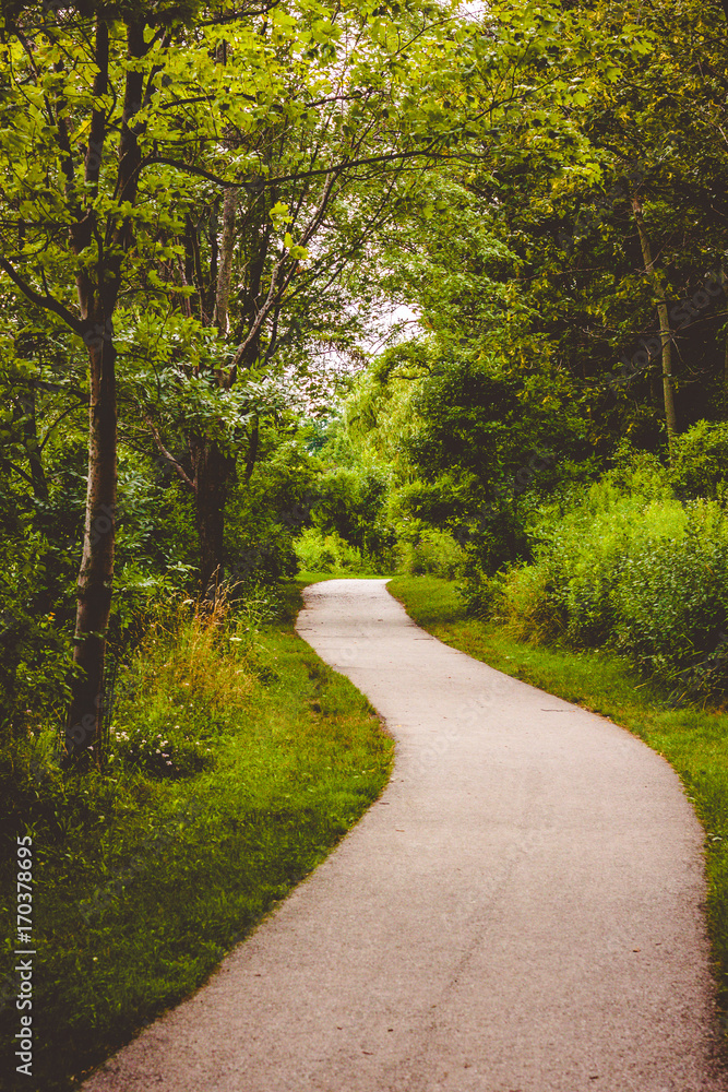 Trail Trail