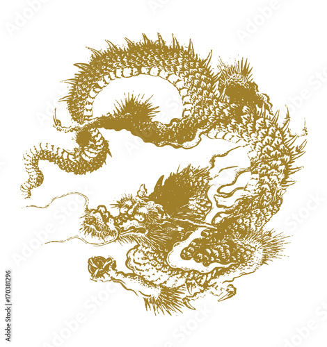traditional dragon illustration