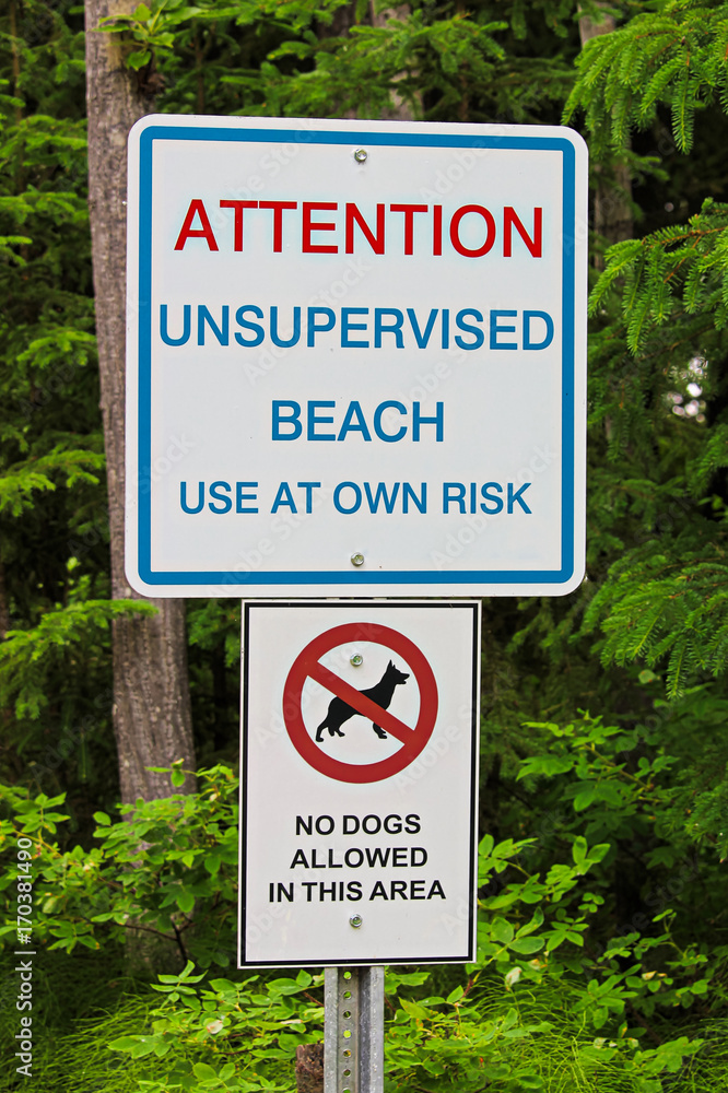 An attention unsupervised beach with no dogs allowed sign
