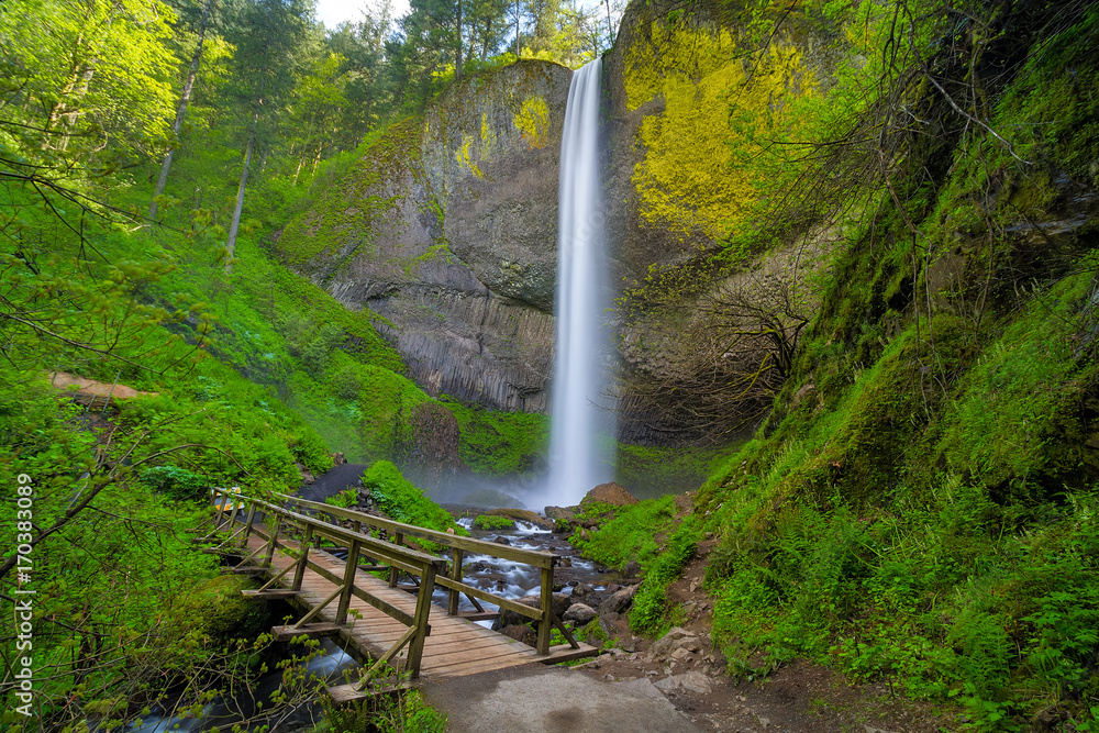 Fototapeta premium Wood Foot Bridge by Latourell Falls in Oregon USA America
