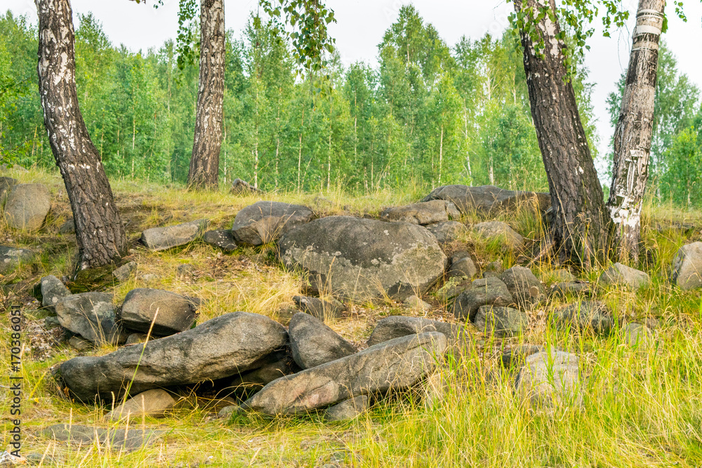 Natural Stones and rocks bulk in forest with birchs, The Urals mountain, Russia
