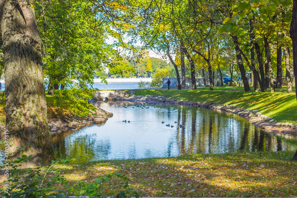 Yellow and orange trees in autumn park. Selective focus. Autumn landscape. River and ducks. Yellow and orange trees in autumn park. Selective focus. Autumn landscape. River and ducks.