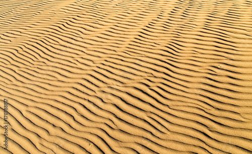 Sand in the desert as a background