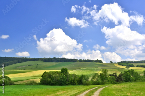 Field, rural road and landscape, Beskid Niski, Poland