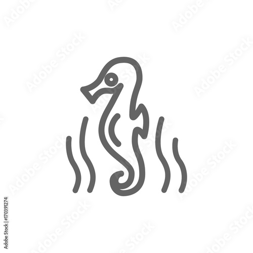 Simple seahorse line icon. Symbol and sign vector illustration design. Editable Stroke. Isolated on white background