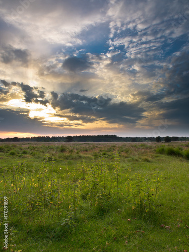 Heathland Trail Sunset