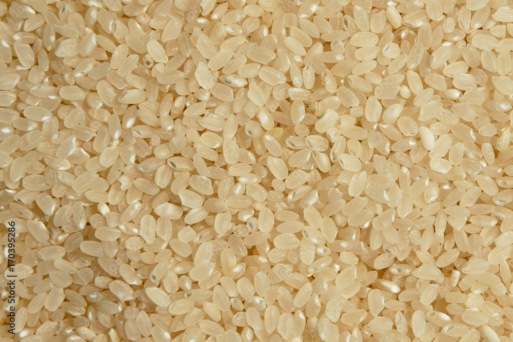 white rice from a close view white rice from a close view