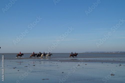 Cavaliers sur la plage à marée basse