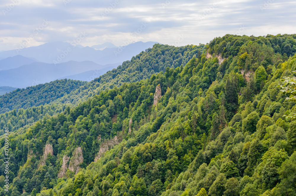Mountain forest landscape at the foot of the Caucasus Mountains, Adygea, Russia