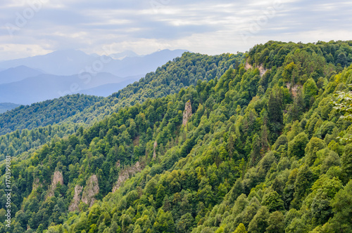 Mountain forest landscape at the foot of the Caucasus Mountains, Adygea, Russia