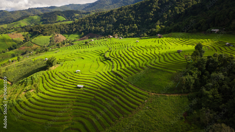 Top view of the rice paddy fields in northern Thailand