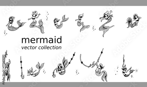 Zeemeermin vector collectie