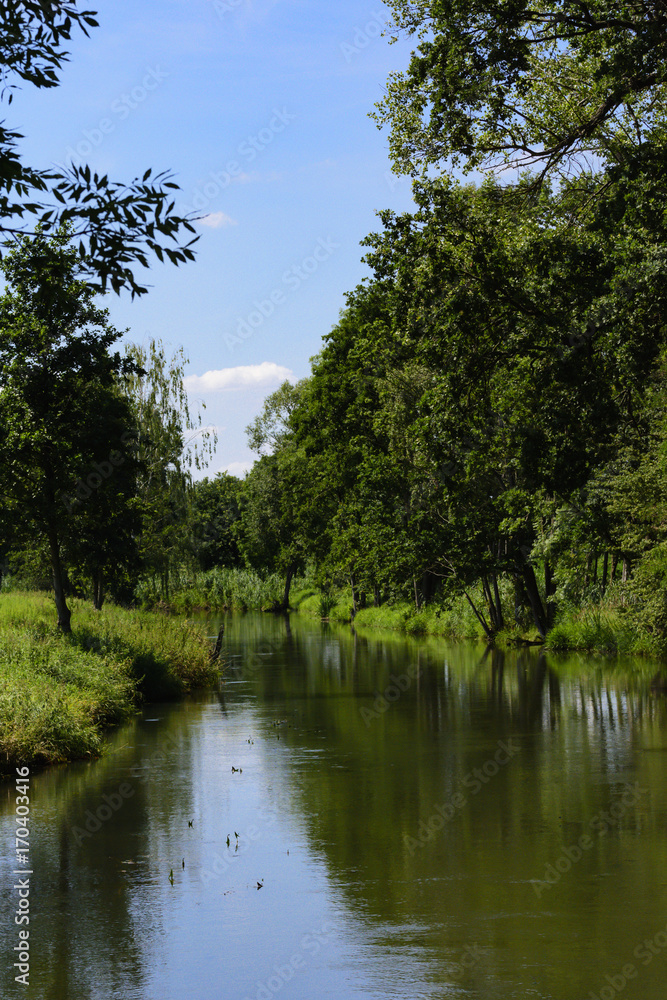 Fototapeta premium Uferlandschaft im Spreewald