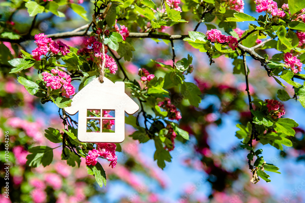 The symbol of the house among the blooming Crataegus Pauls Scarlet 