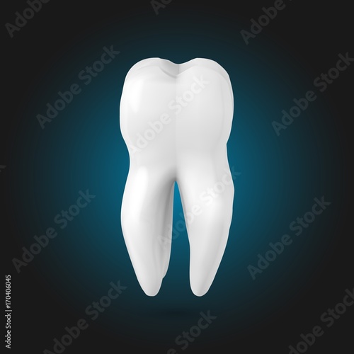 Illustration of Vector Tooth. Realistic 3D Teeth Template