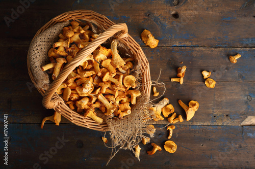 Forest mushrooms in basket