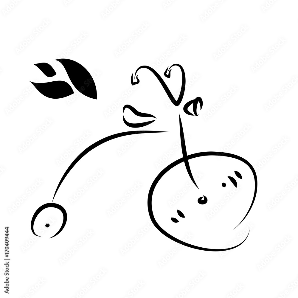 Silhouette Eco Bicycle, Bike on a White Background, Vector Illustration Silhouette Eco Bicycle, Bike on a White Background, Vector Illustration